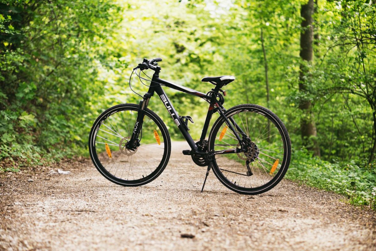 un vélo en forêt