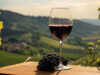 Les secrets des sommeliers : choisir un bon vin italien sans se tromper